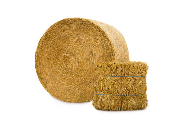 round and rectangular hay bale isolated on white background